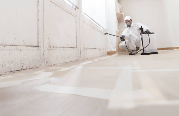 24/7 Emergency Mold Inspection experts in Halifax, VA