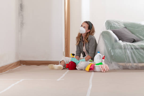 Reliable Mold Cleanup contractor in Halifax, VA by Cheap Mold Removal
